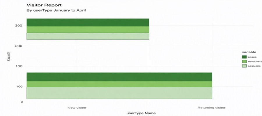 Website Visitor Report by User Type